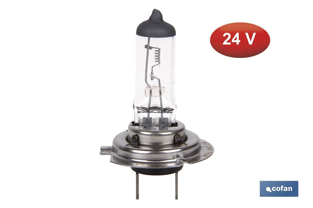 LÁMPARA HALÓGENA H7 (Px26d) 24V 70W
