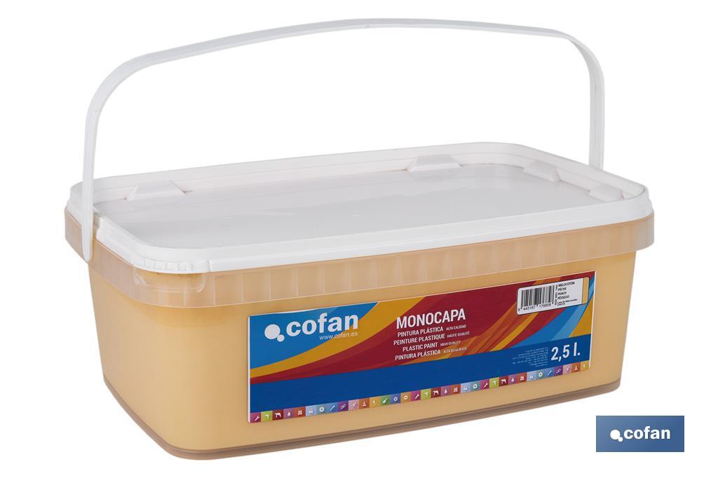 PINTURA PLÁSTICA MONOCAPA Melocoton (2,5 LT)