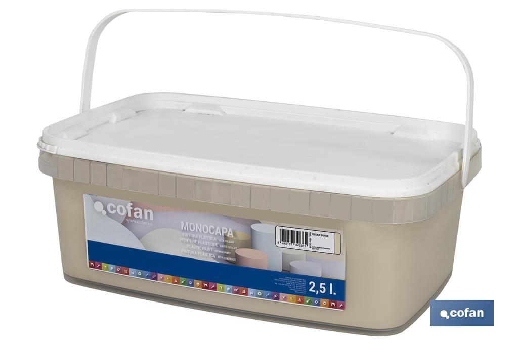 PINTURA PLÁSTICA MONOCAPA PIEDRA SUAVE 2,5 L