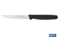 PACK DE 25 CUCHILLOS DE COCINA MICRODENTADO 10,5 cm